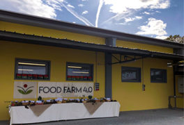 Food Farm News